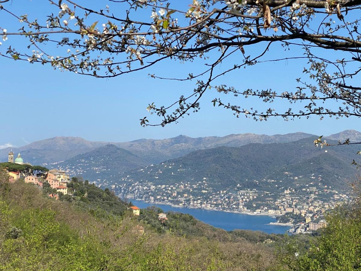 Liguria Home 4 - Recco Centro A 2 Minuti Dal Mare Ngoại thất bức ảnh